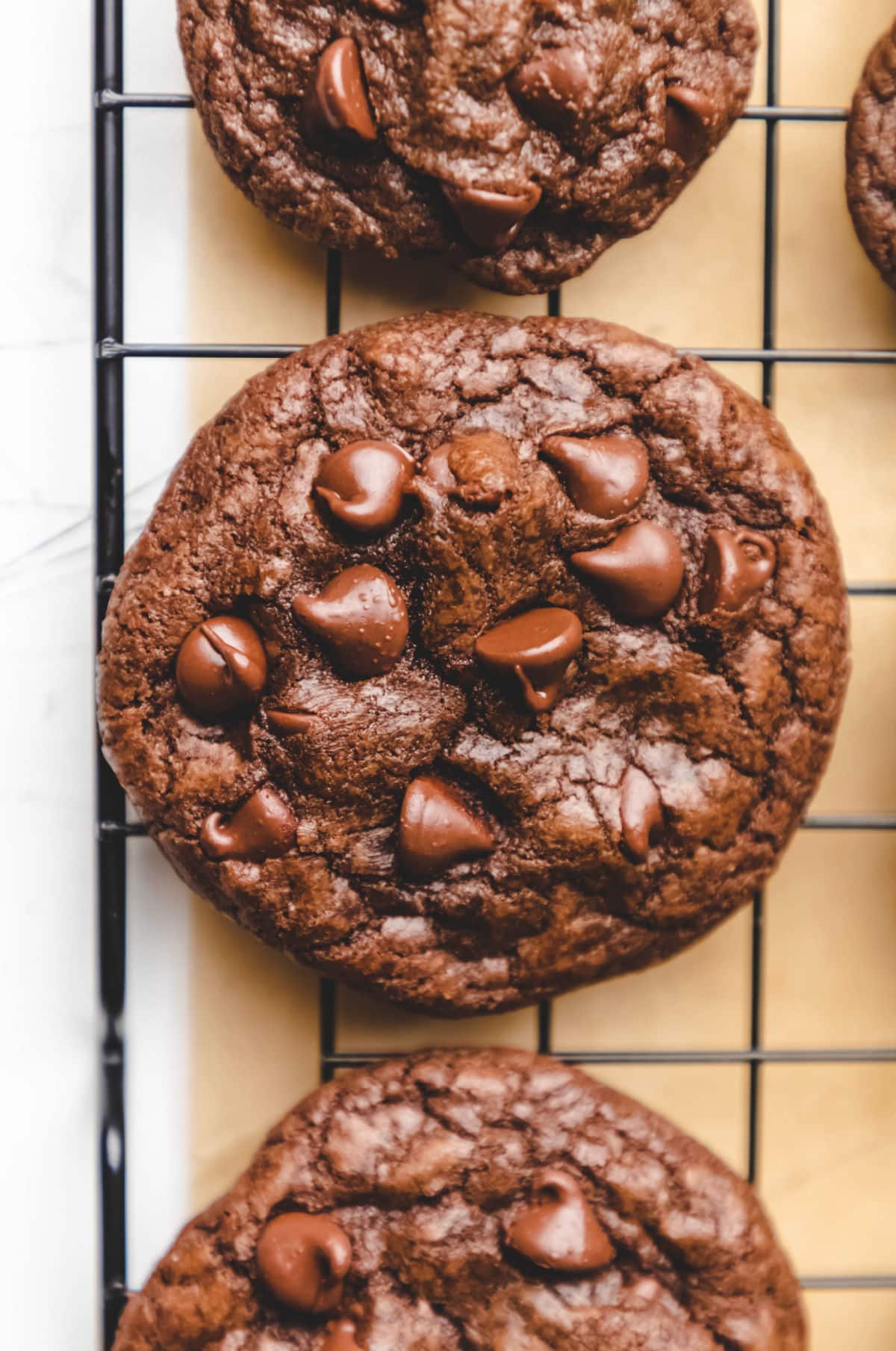 Chocolate Chocolate Chip Cookie