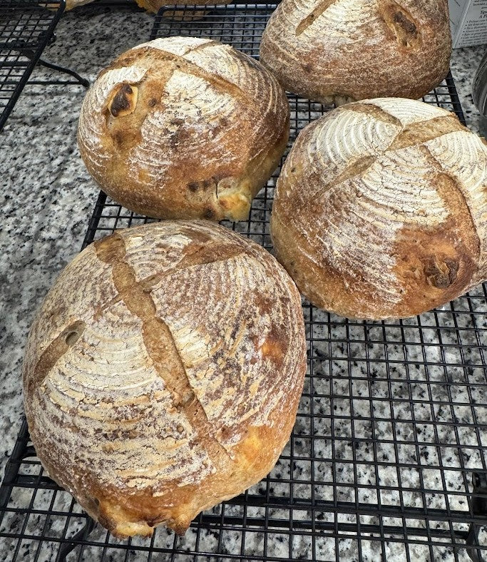 Everything But the Bagel - Small