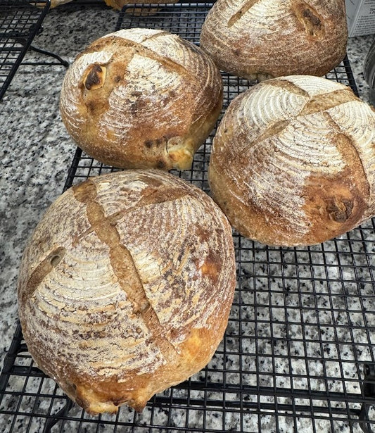 Everything But the Bagel - Large