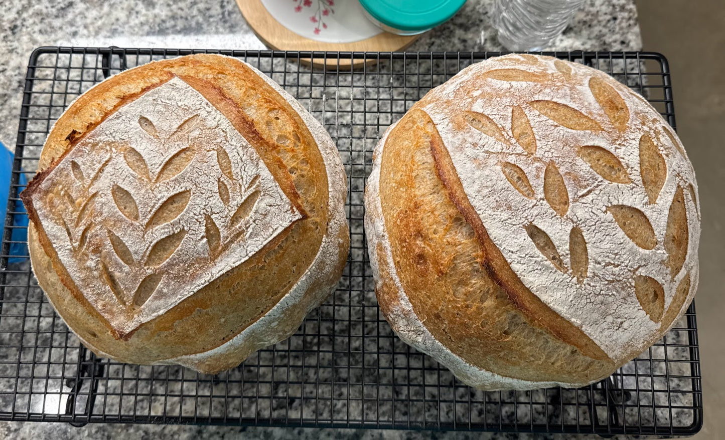 Classic Sourdough Loaf - Large